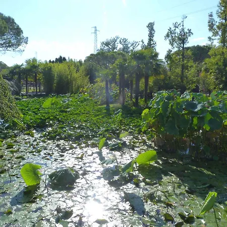 In Lignano 21633 * リニャーノ・サッビアドーロ