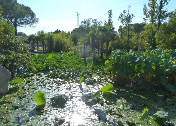 In Lignano 21633 * Линьяно-Саббьядоро